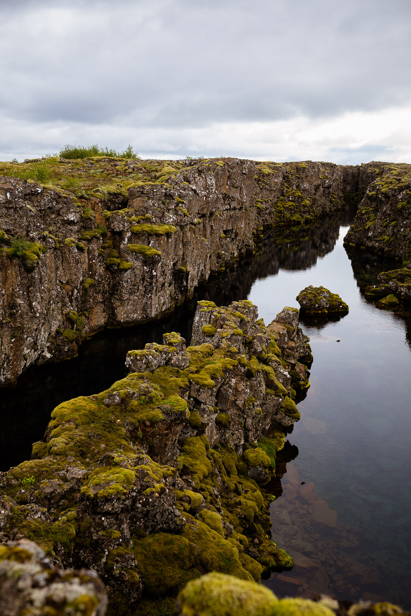 Export x3 5D4 5810 Anja & Damaris @thingvellier